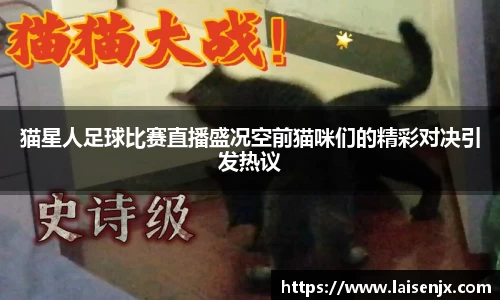 猫星人足球比赛直播盛况空前猫咪们的精彩对决引发热议